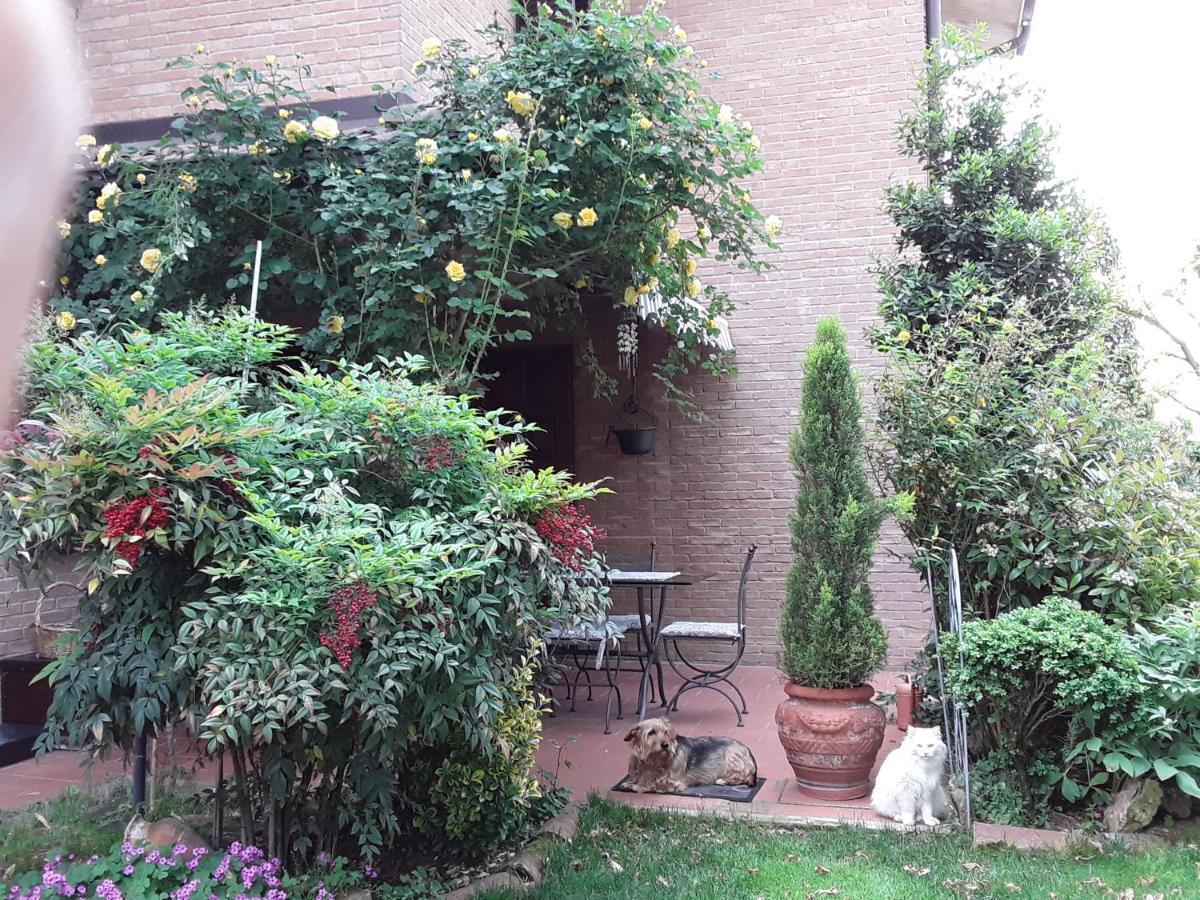 B&B La Rosa Gialla Μαρανέλλο Εξωτερικό φωτογραφία