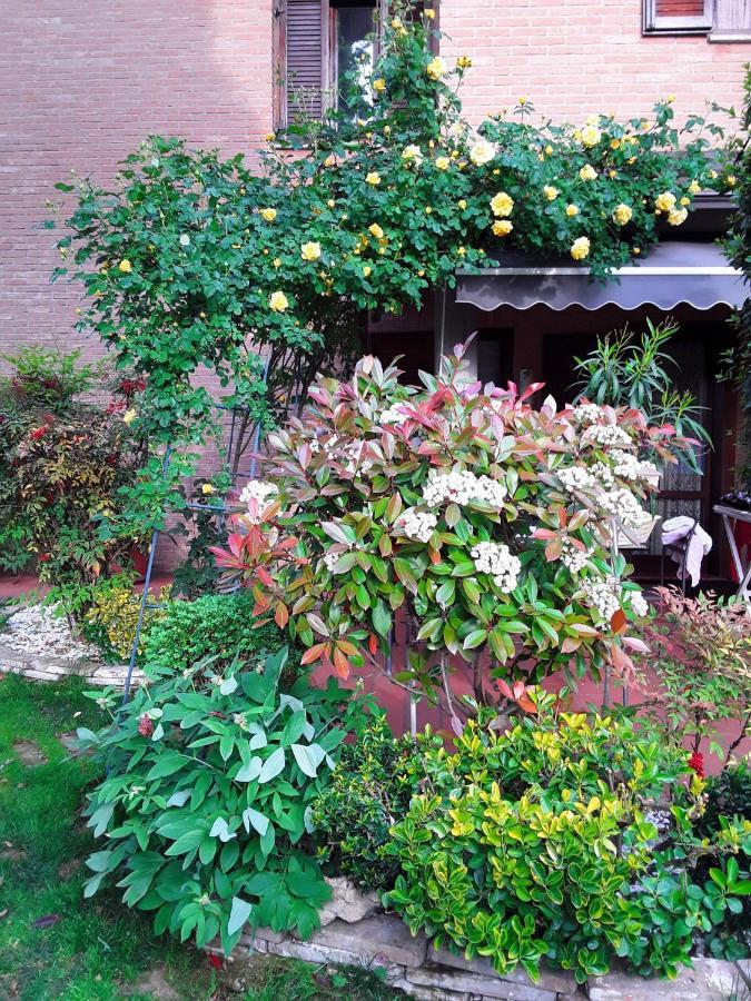 B&B La Rosa Gialla Μαρανέλλο Εξωτερικό φωτογραφία