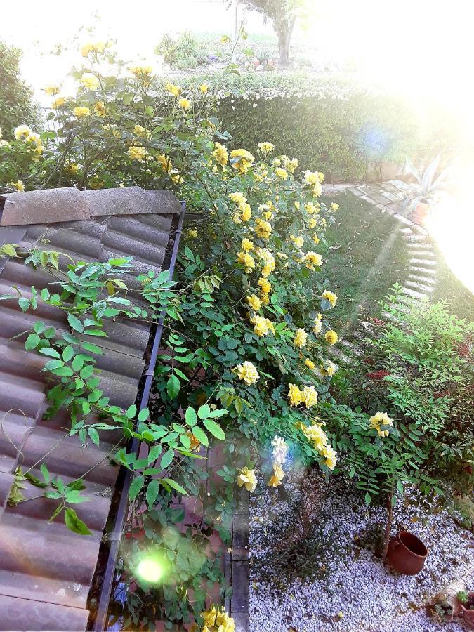B&B La Rosa Gialla Μαρανέλλο Εξωτερικό φωτογραφία