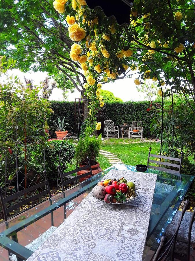 B&B La Rosa Gialla Μαρανέλλο Εξωτερικό φωτογραφία